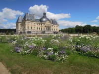 Parterre de fleurs juillet